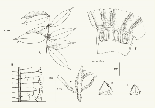 https://bioone.org/ContentImages/Journals/cand/77/1/c2022v771a3/graphic/WebImages/img-z11-5_17.jpg