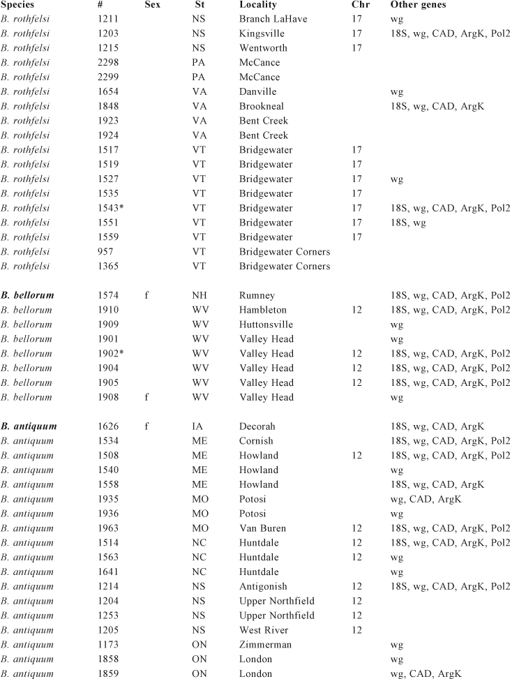 Systematics Of The North American Beetle Subgenus - 