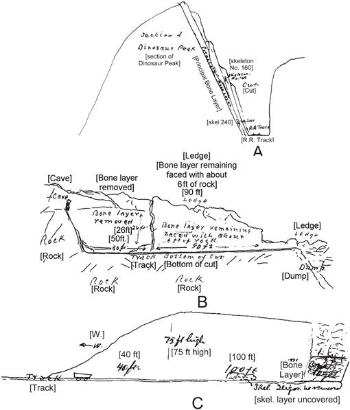 History Sedimentology And Taphonomy Of The Carnegie Quarry