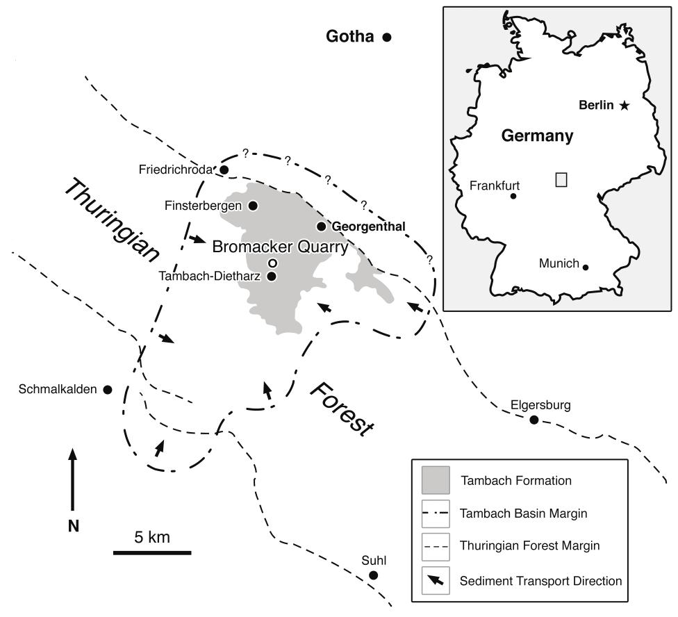 New Primitive Caseid (Synapsida, Caseasauria) from the Early Permian of ...