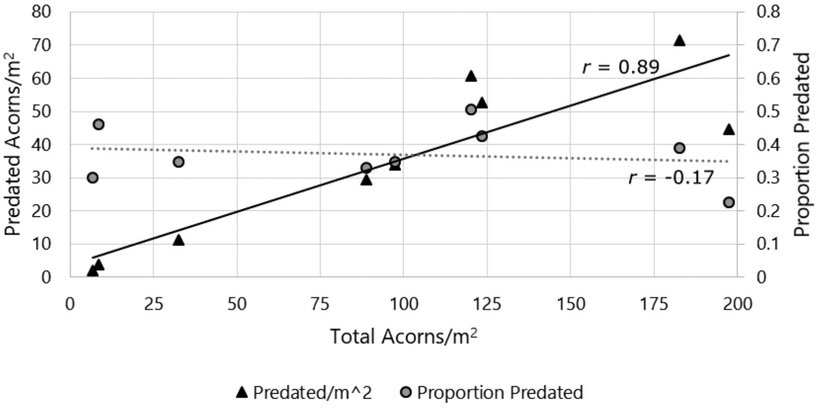 Acorn Weevil Coleoptera Curculionidae Predation Dynamics In A Mississippi Bottomland Hardwood Forest