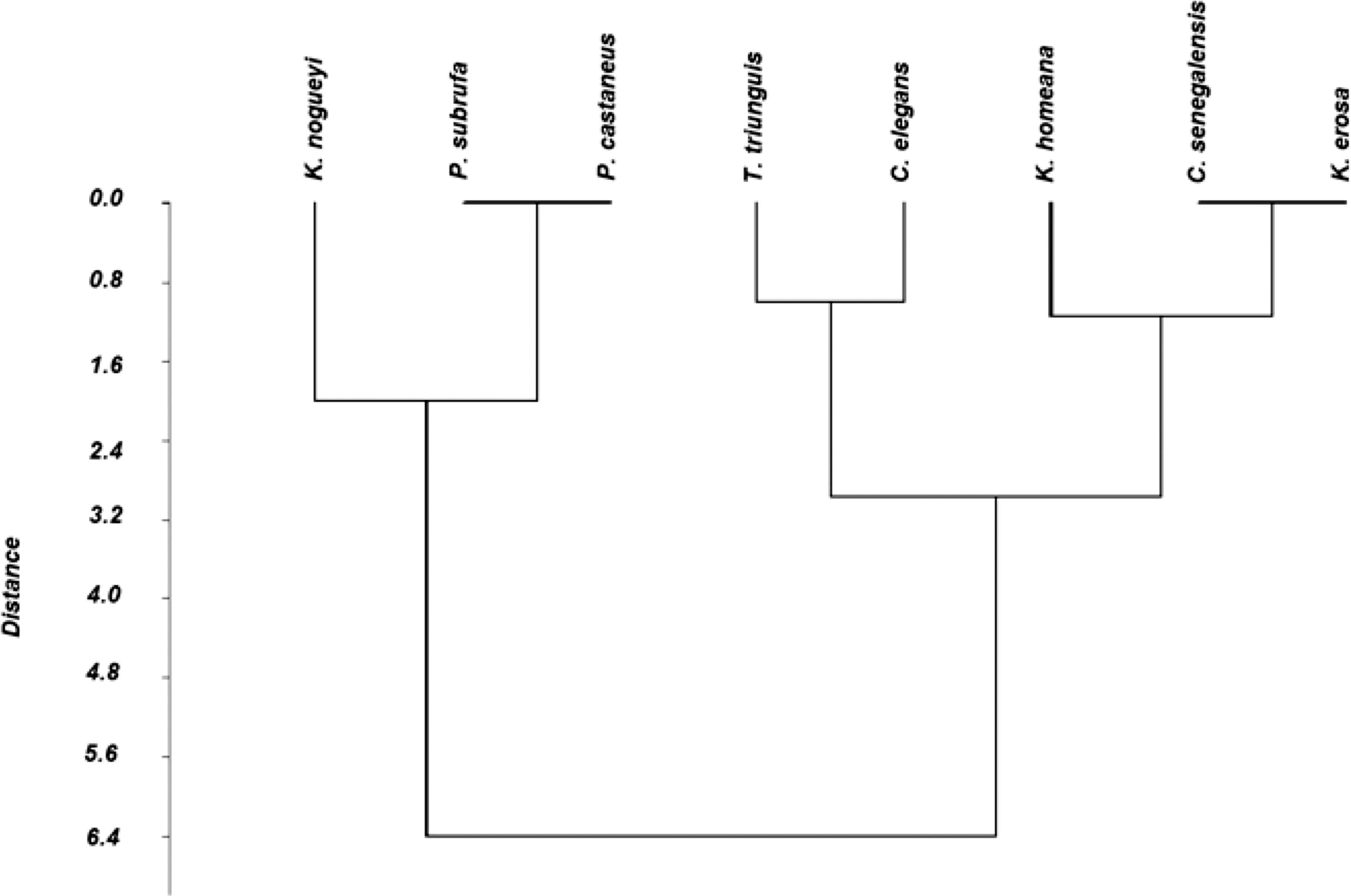 Turtles And Tortoises Of Togo Historical Data Distribution - 