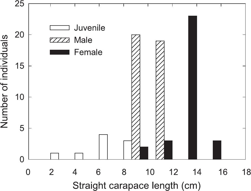 Population Structure and Sexual Dimorphism in a Southern Population of Tent  Tortoises (Psammobates tentorius tentorius) of the Karoo, South Africa