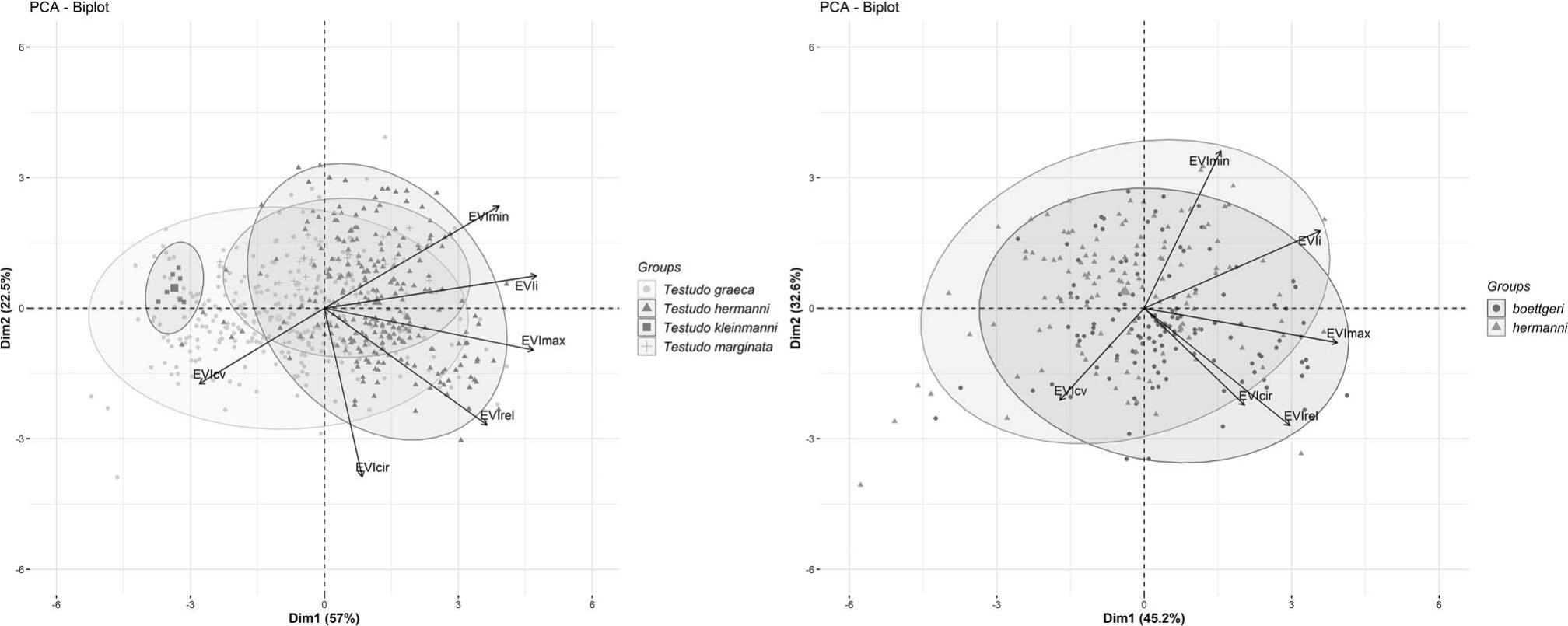 Habitat Partitioning Among Mediterranean Tortoises (genus Testudo) In 