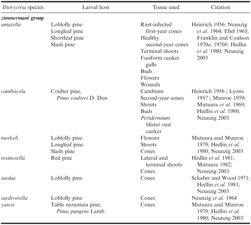 Biology And Management Of North American Cone Feeding Dioryctria Species