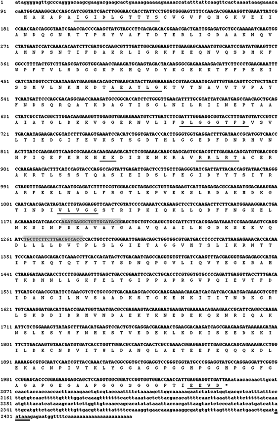 Expression Of Heat Shock Protein 70 In The Thermally Stressed Antarctic Clam Laternula Elliptica