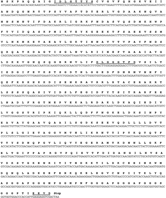 Molecular Identification And Expression Of Heat Shock Cognate 70 Hsc70 And Heat Shock Protein 70 Hsp70 Genes In The Pacific Oyster Crassostrea Gigas