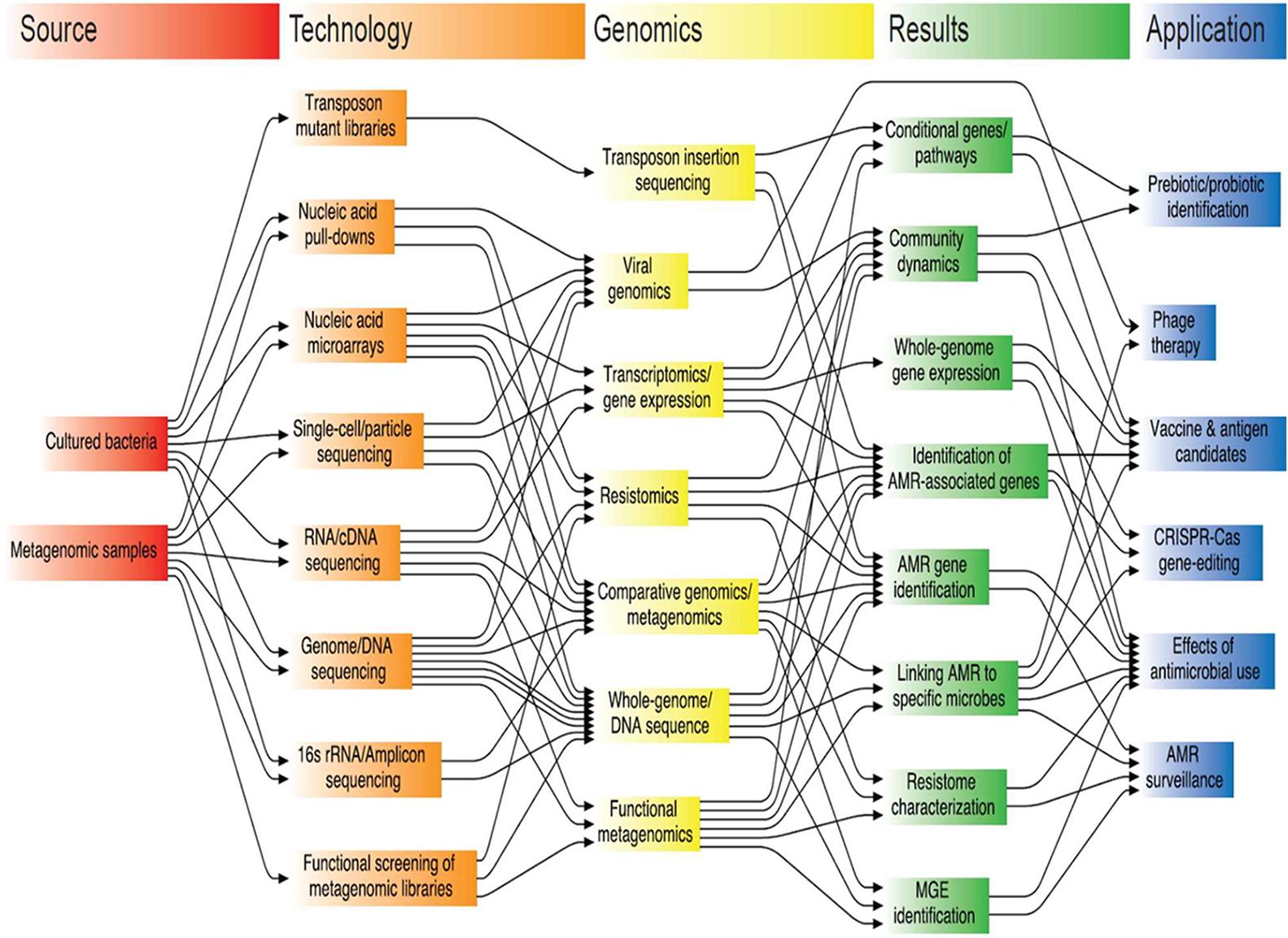 Genomic Approaches To Characterizing And Reducing Antimicrobial