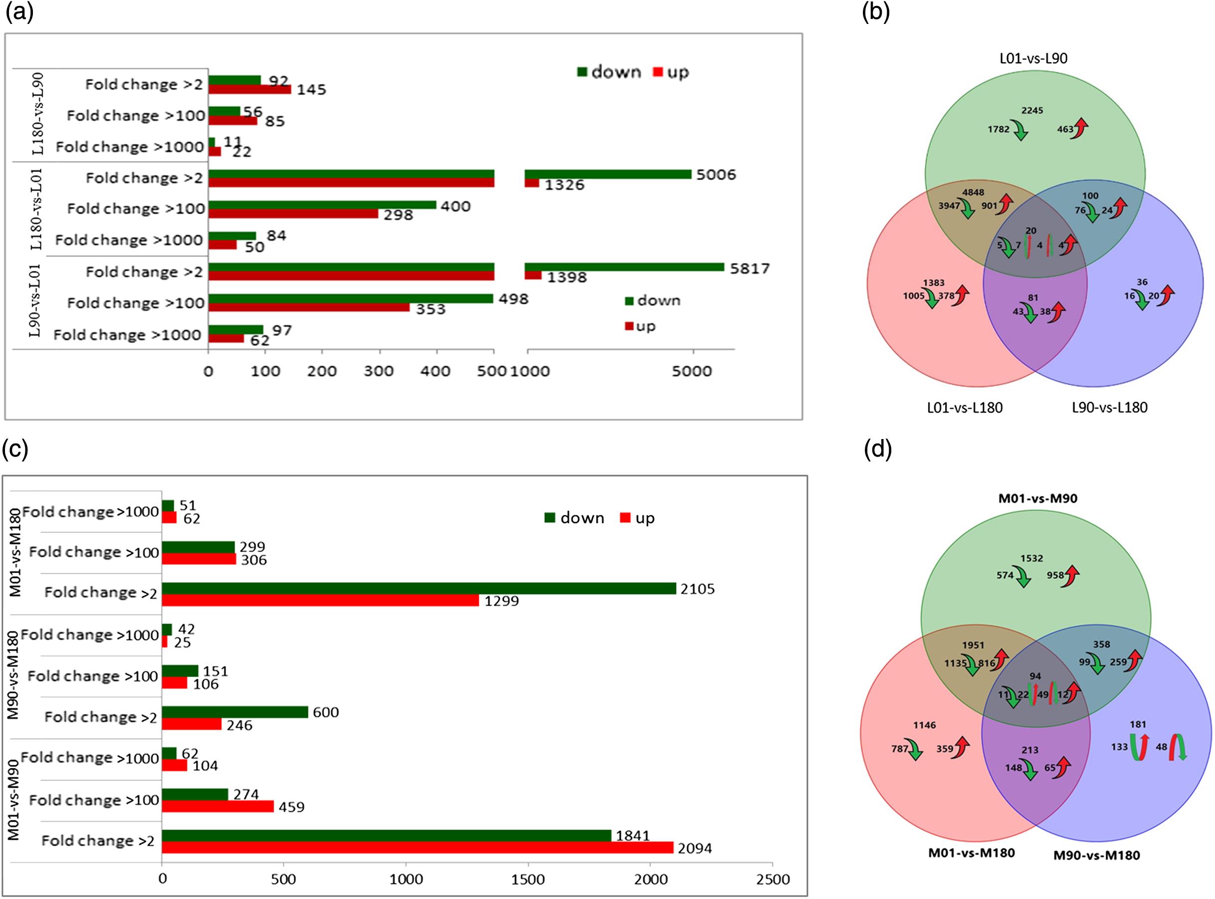 Transcriptome Profile Of Skeletal Muscle At Different Developmental Stages In Large White And Mashen Pigs