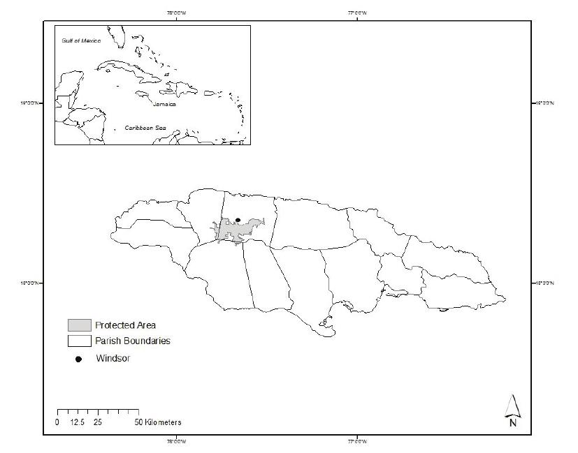 Determining the Suitability of the Jamaican Boa (Chilabothrus subflavus ...