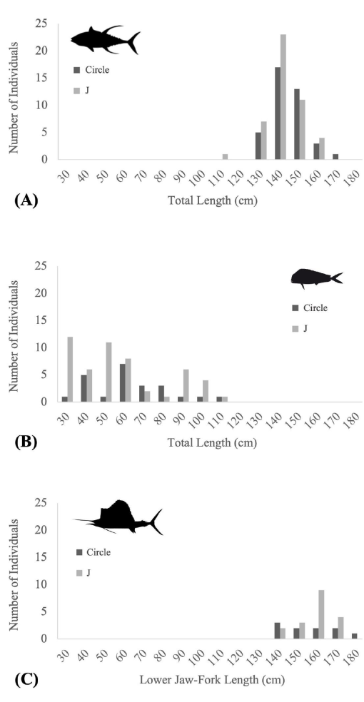 A Comparison of Circle and J Hook Performance Within the Grenadian Pelagic  Longline Fishery
