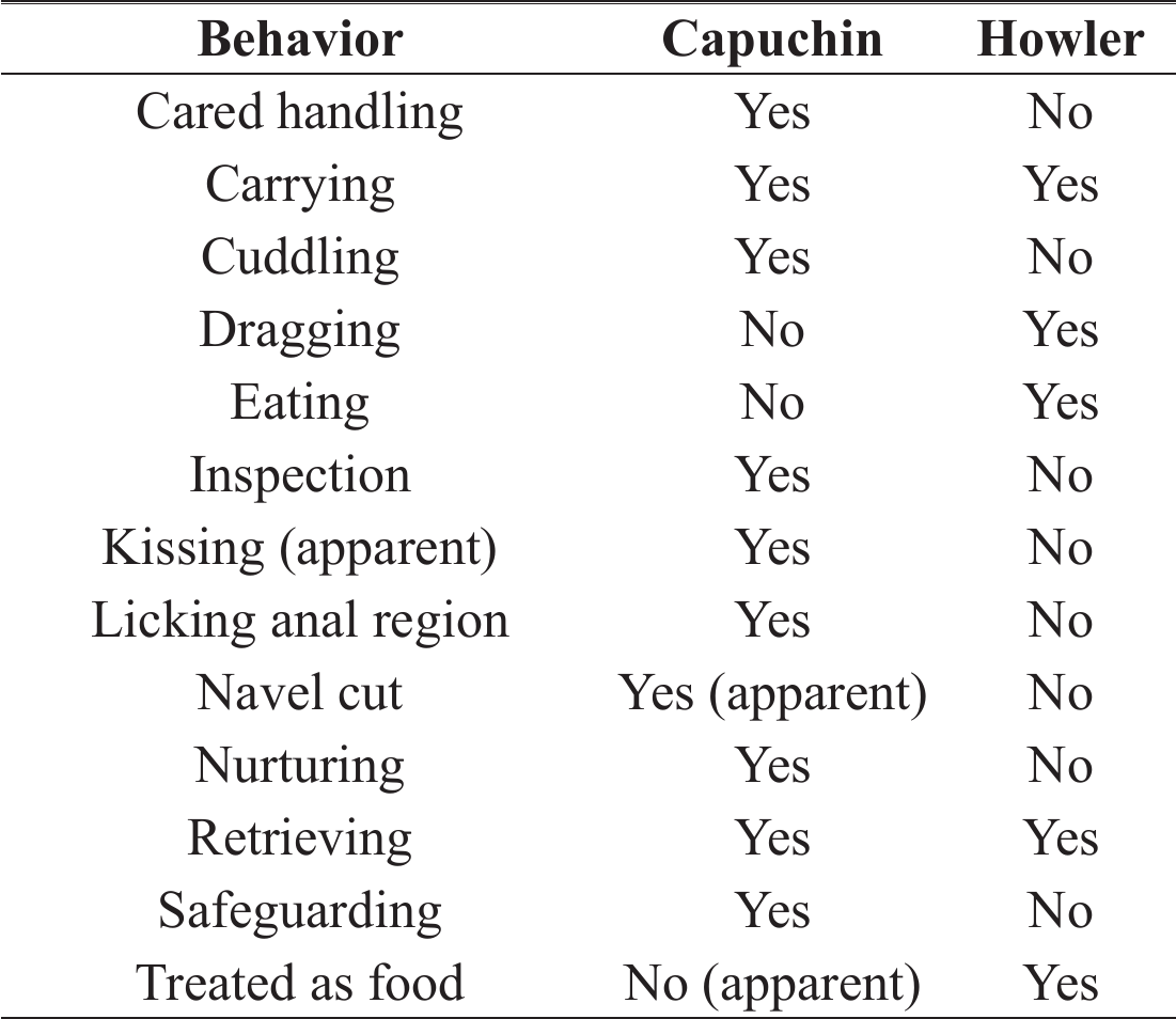 Comparative Behavior of the White-faced Capuchin (Cebus imitator) in  Response to Deceased Conspecific and Non-Conspecific Infants