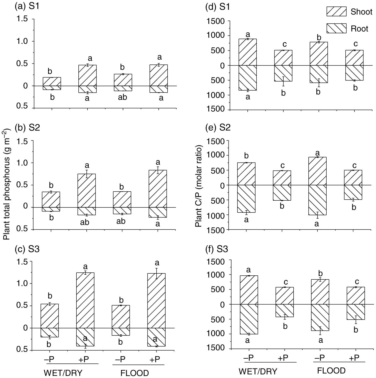 Carbon Allocation And Fate In Paddy Soil Depending On Phosphorus Fertilization And Water Management Results Of 13c Continuous Labelling Of Rice