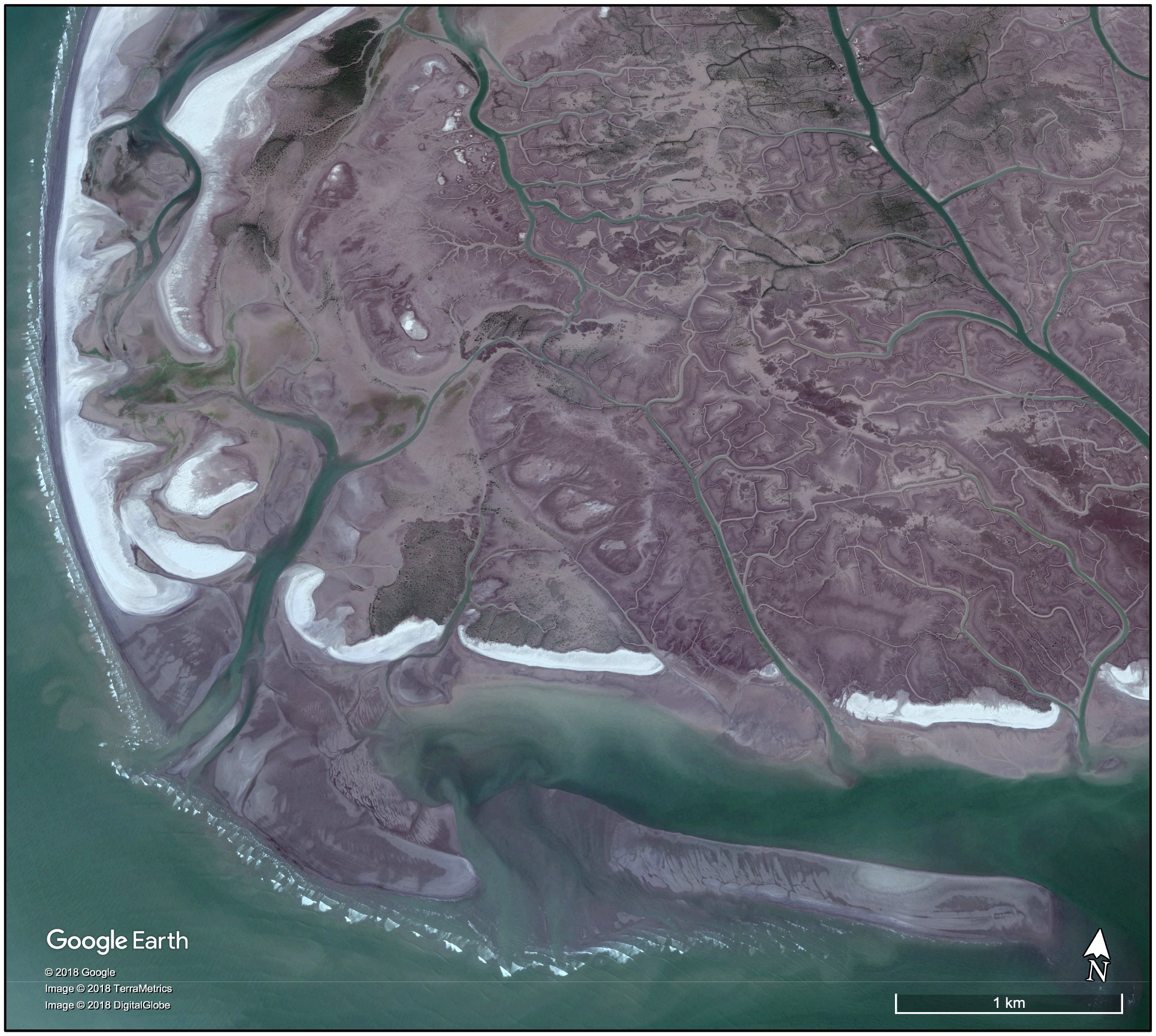 Pakistan, Indus River Delta, Arabian Sea Coast
