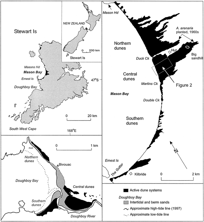 Processes of Ammophila arenaria (Marram Grass) Invasion and Indigenous ...