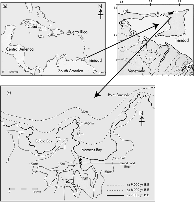 Holocene Development of Coastal Wetland at Maracas Bay, Trinidad, West ...