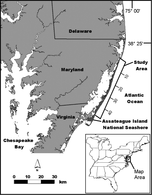 Comparing Mean High Water and High Water Line Shorelines: Should Proxy ...