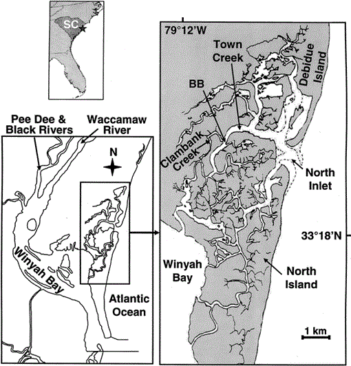 Mesozooplankton Responses to Climate Change and Variability in a