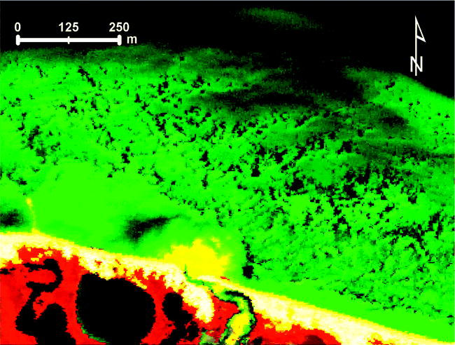 Seagrass Mapping in the Northern Gulf of Mexico using Airborne ...