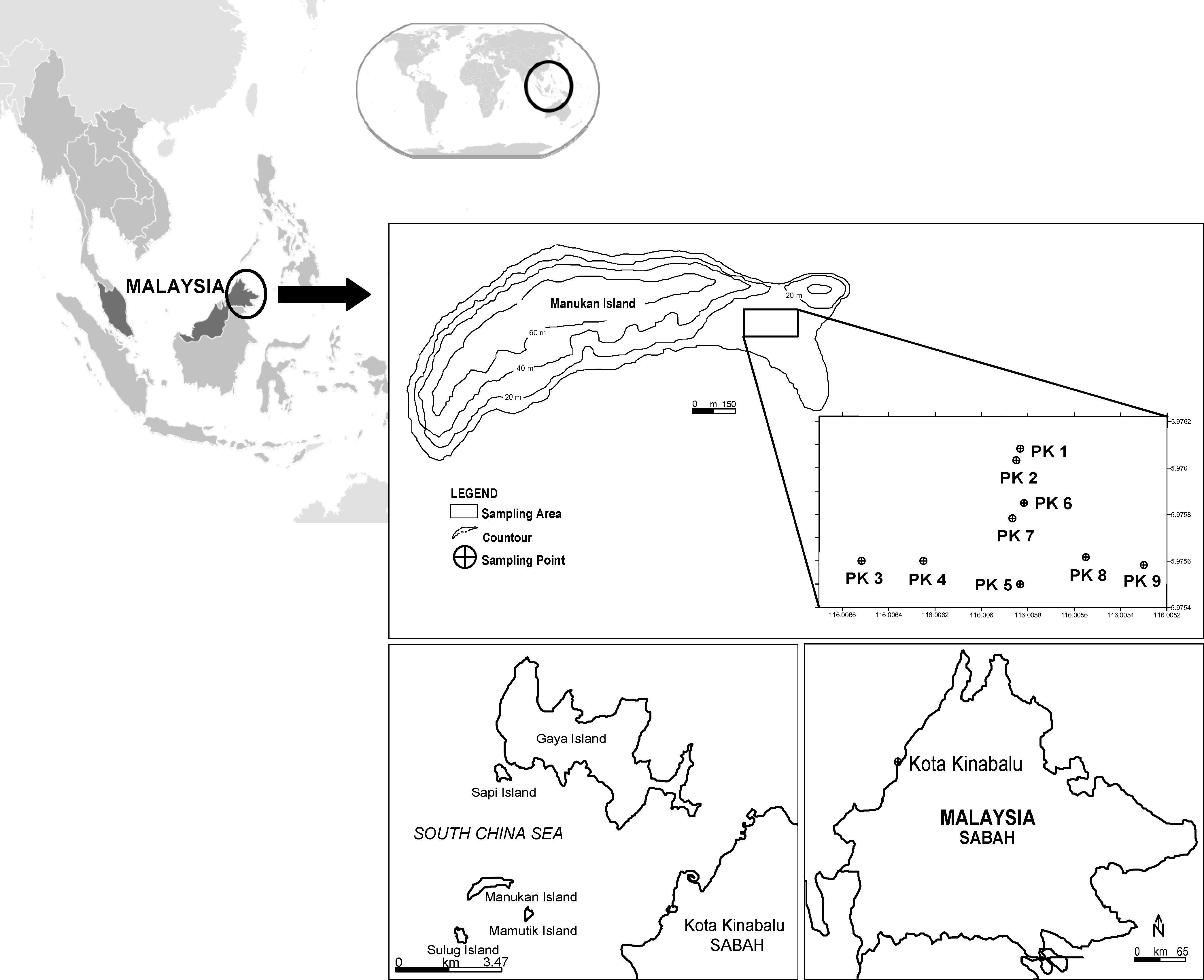 The Influence Of Seawater On The Chemical Composition Of Groundwater In A Small Island The Example Of Manukan Island East Malaysia