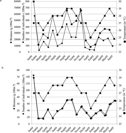 Spatial and Temporal Variation in a Caribbean Herbivorous Fish Assemblage