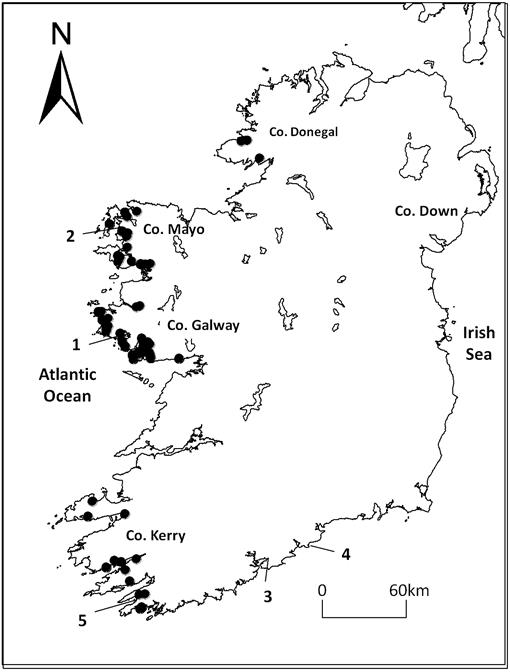 Salt-Marshes on Peat Substrate: Where Blanket Bogs Encounter the Marine ...