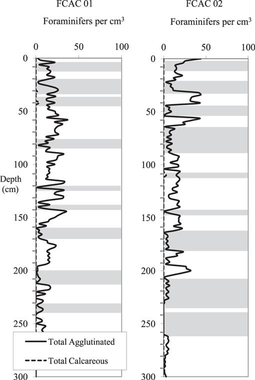 Micropaleontological Evidence of Prehistoric Hurricane Strikes from ...