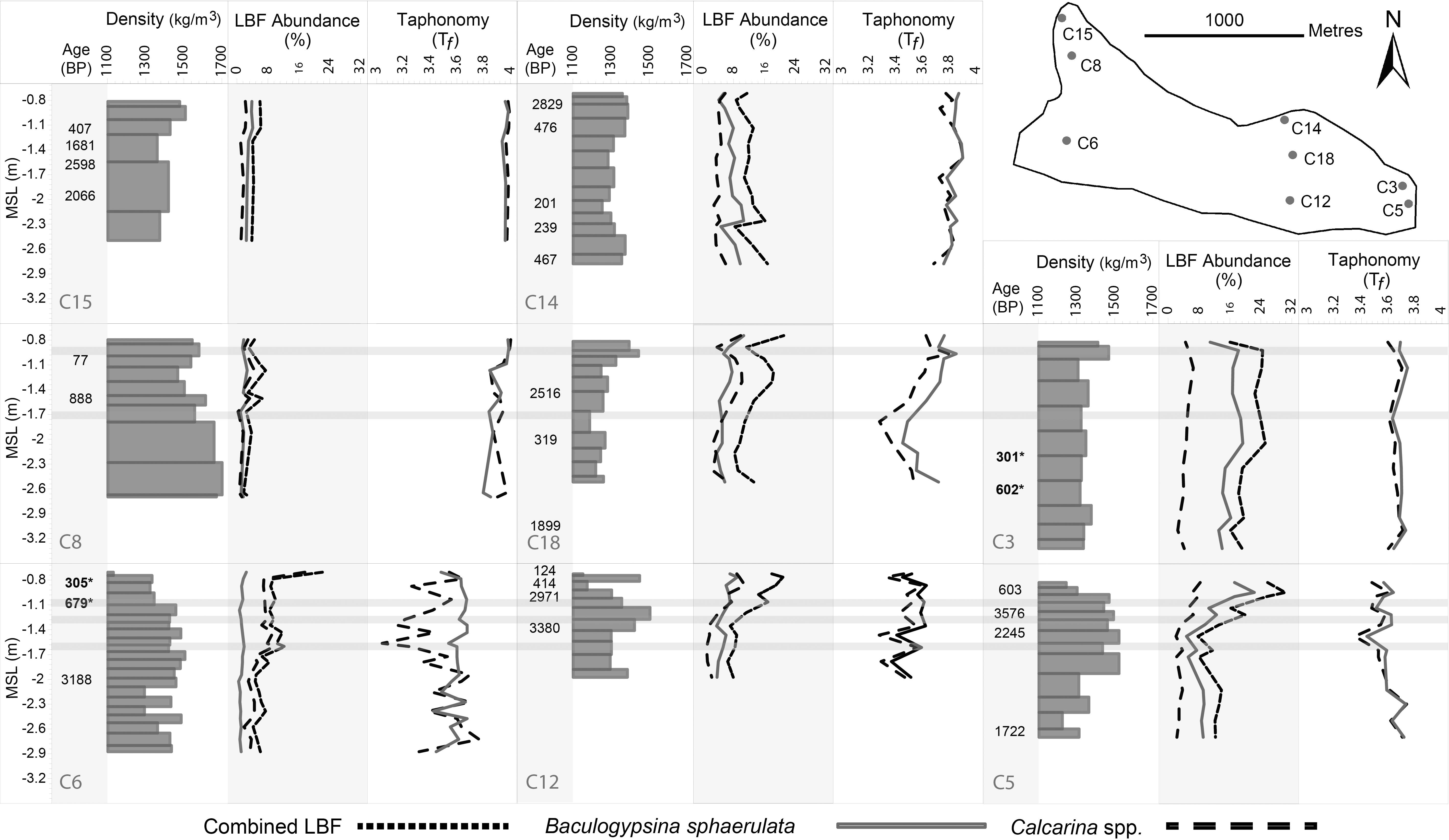 Patterns of Sediment Transport Using Foraminifera Tracers across Sand ...