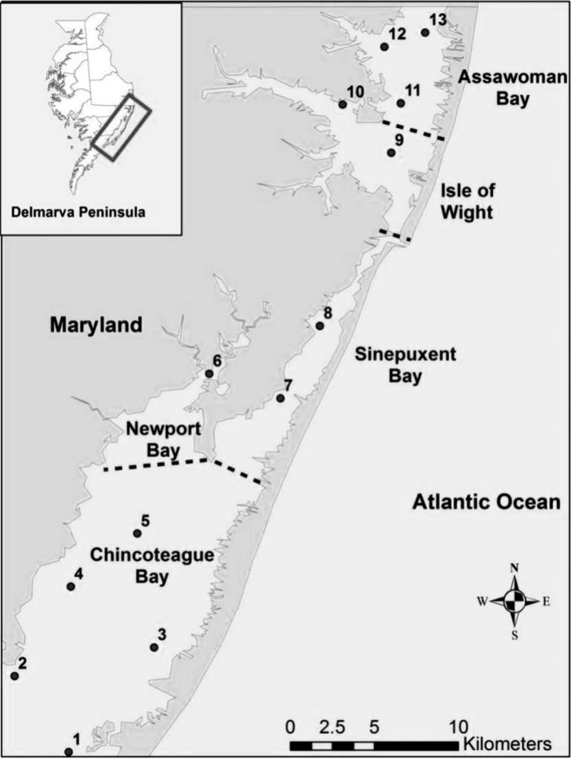 Population Dynamics and Life History of Marine Cladocera in the ...