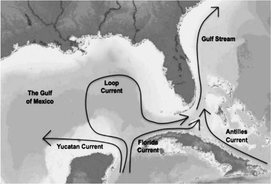 Variability and Trends of the Florida Current and Implications for