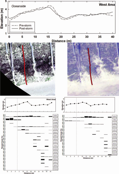 https://bioone.org/ContentImages/Journals/coas/39/4/JCOASTRES-D-22-00108.1/graphic/WebImages/img-z13-1_587.jpg