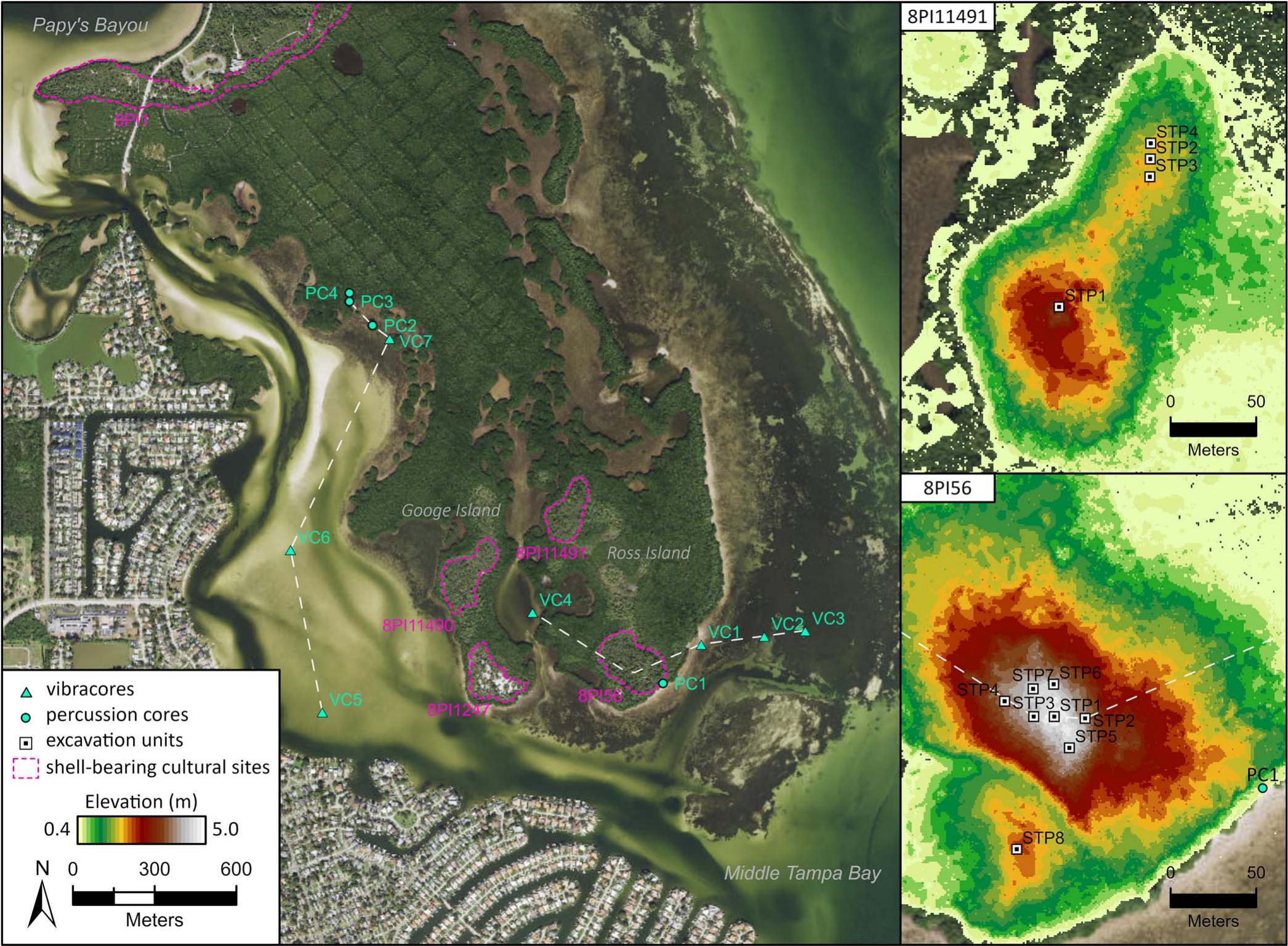 Facção TROPICAL e GRANDE FLORESTA - TABS MOD EXPANSIONARY 