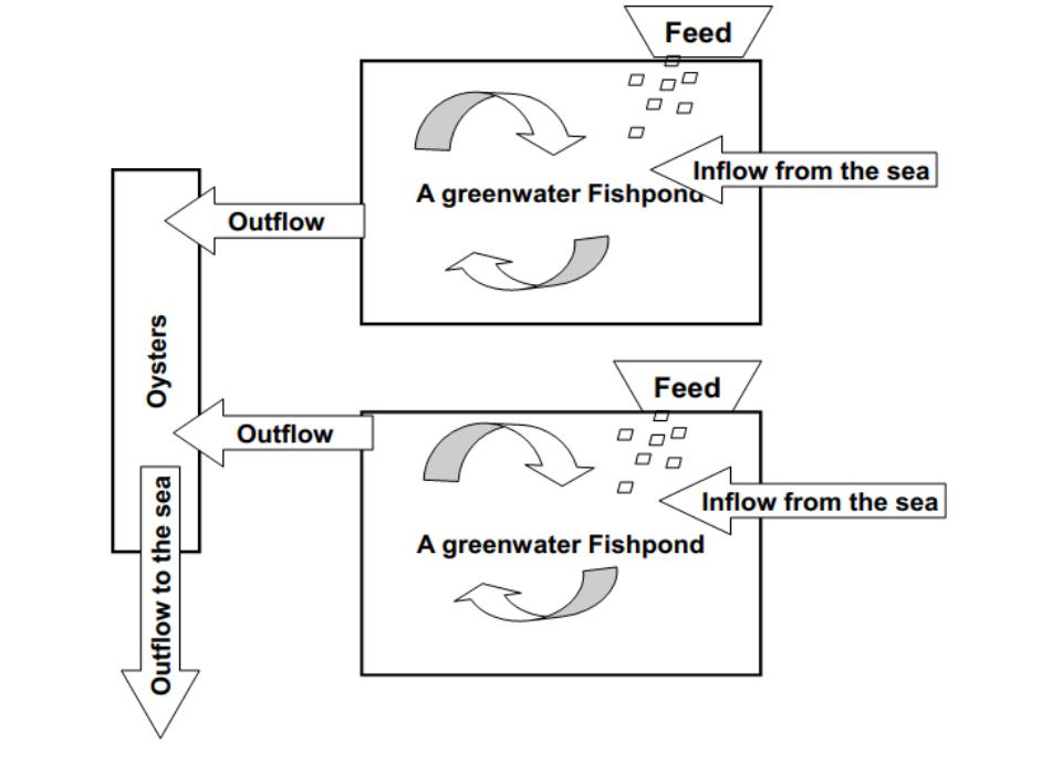 Israeli-Developed Models of Marine Integrated Multi Trophic