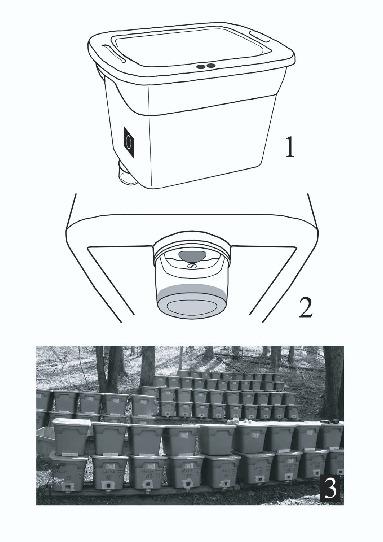 A Practical Emergence Chamber for Collecting Coleoptera from Rotting ...