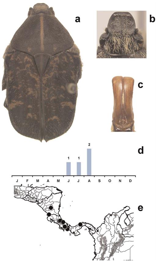 https://bioone.org/ContentImages/Journals/cole/66/mo11/0010-066X-66.mo4.1/graphic/WebImages/f28_01.jpg