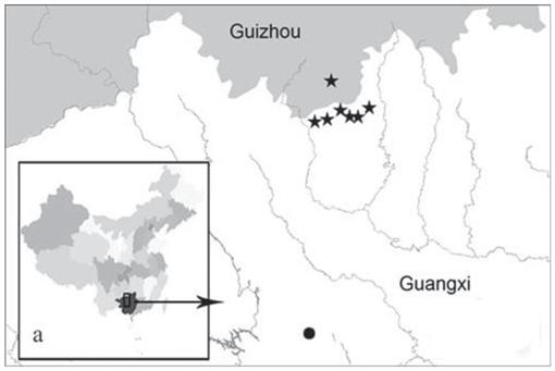 Supplemental Notes On The Genus Libotrechus Ueno Coleoptera Carabidae Trechinae With Description Of A New Species From Guangxi Southern China