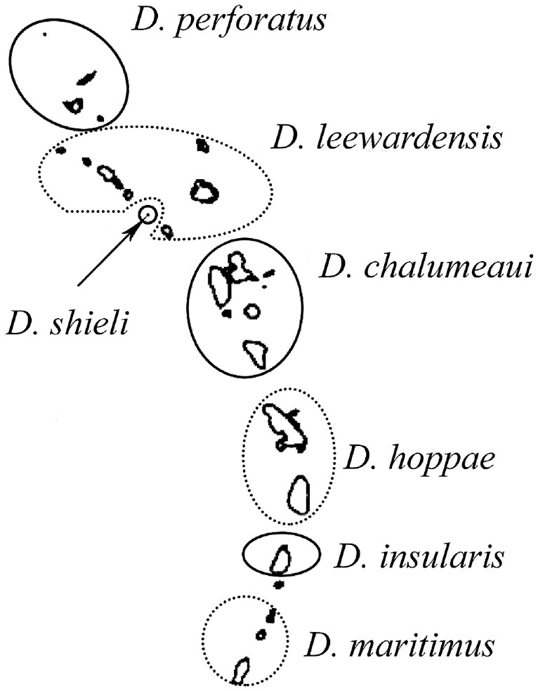 A Revision Of The Genus Diastolinus Mulsant And Rey