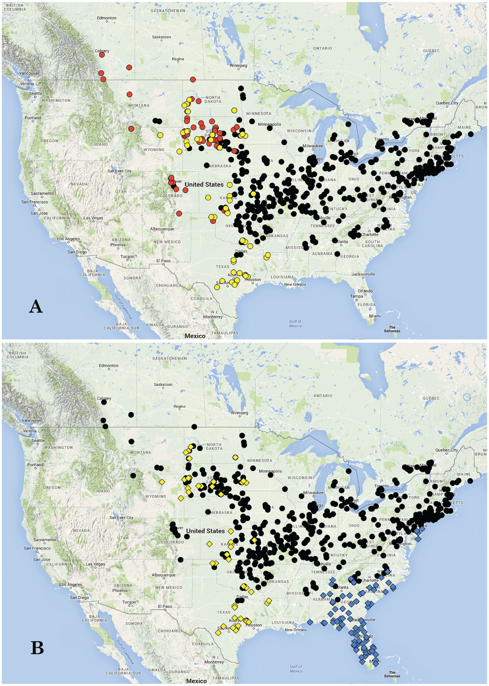 Definition And Revision Of The Othonus Species Group Of North American Pachybrachis Chevrolat Coleoptera Chrysomelidae Cryptocephalinae