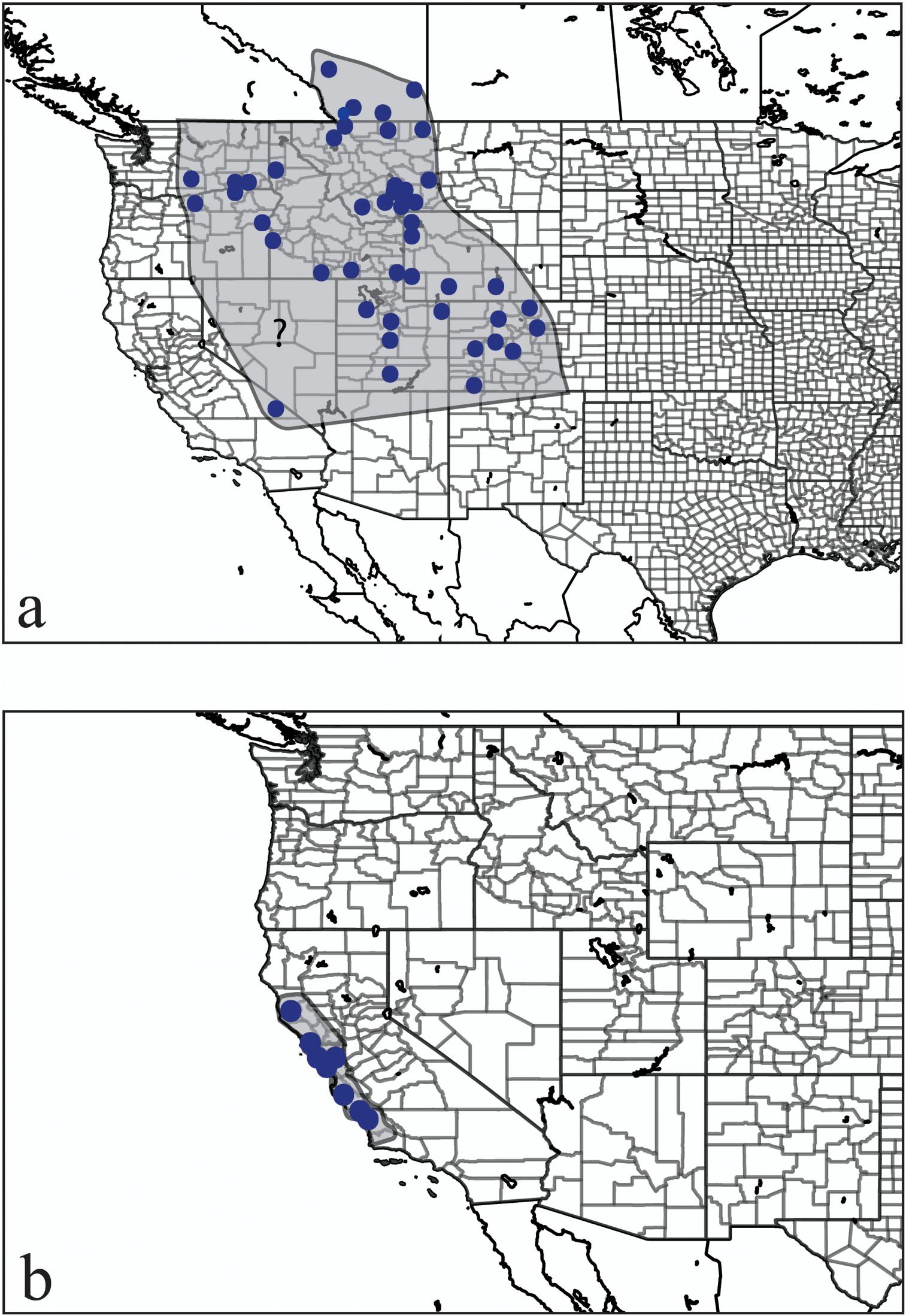 A Revision Of The Genus Hemicrepidius Germar 19 Coleoptera Elateridae Of The New World With Comments On Global Classification