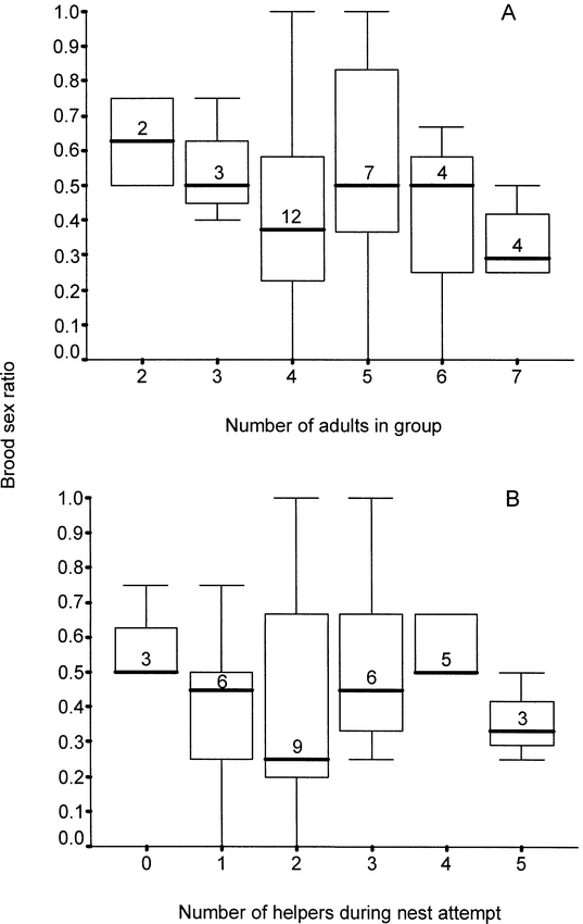 A Test Of Sex Ratio Biasing In The White Throated Magpie Jay A 
