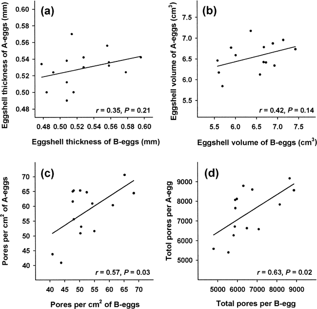 THE INFLUENCE OF LAYING DATE AND MATERNAL AGE ON EGGSHELL THICKNESS AND ...