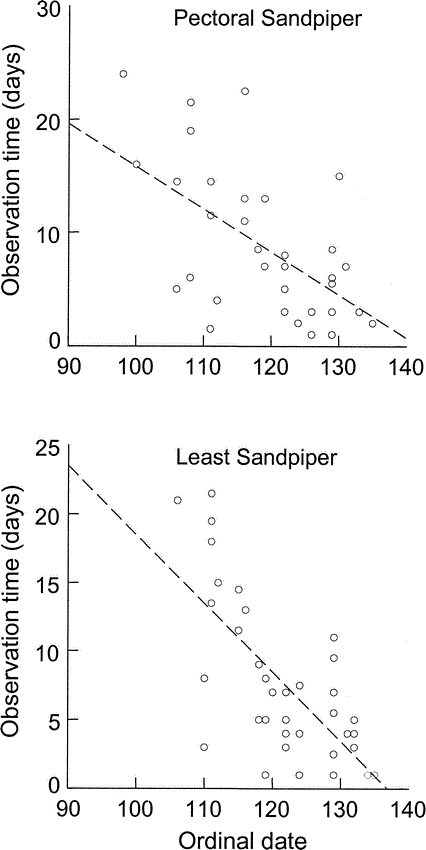 Estimating Flock Size