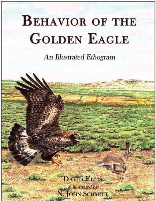 Behavior Of The Golden Eagle An Illustrated Ethogram