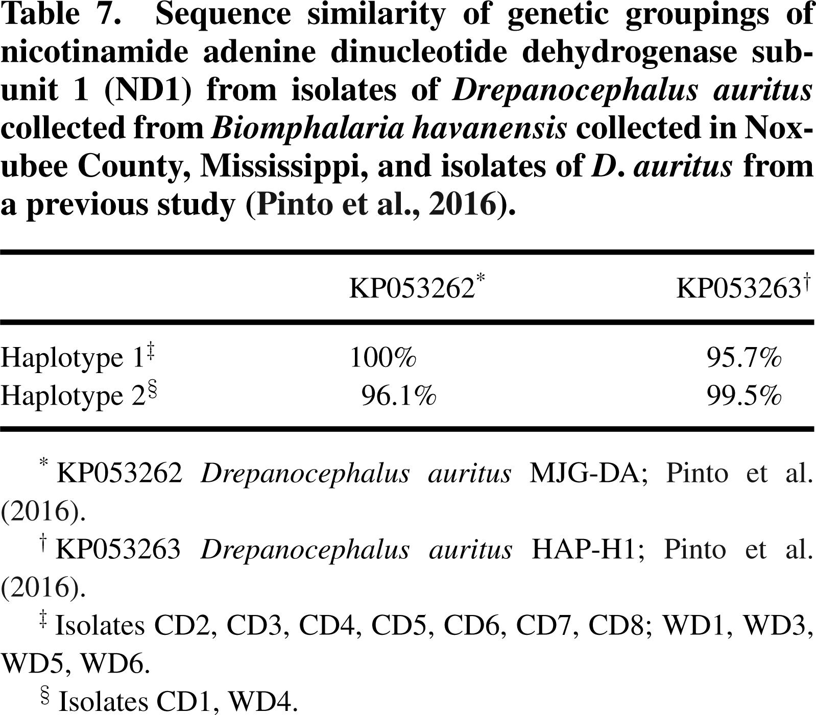 North And South American Haplotypes Of Drepanocephalus