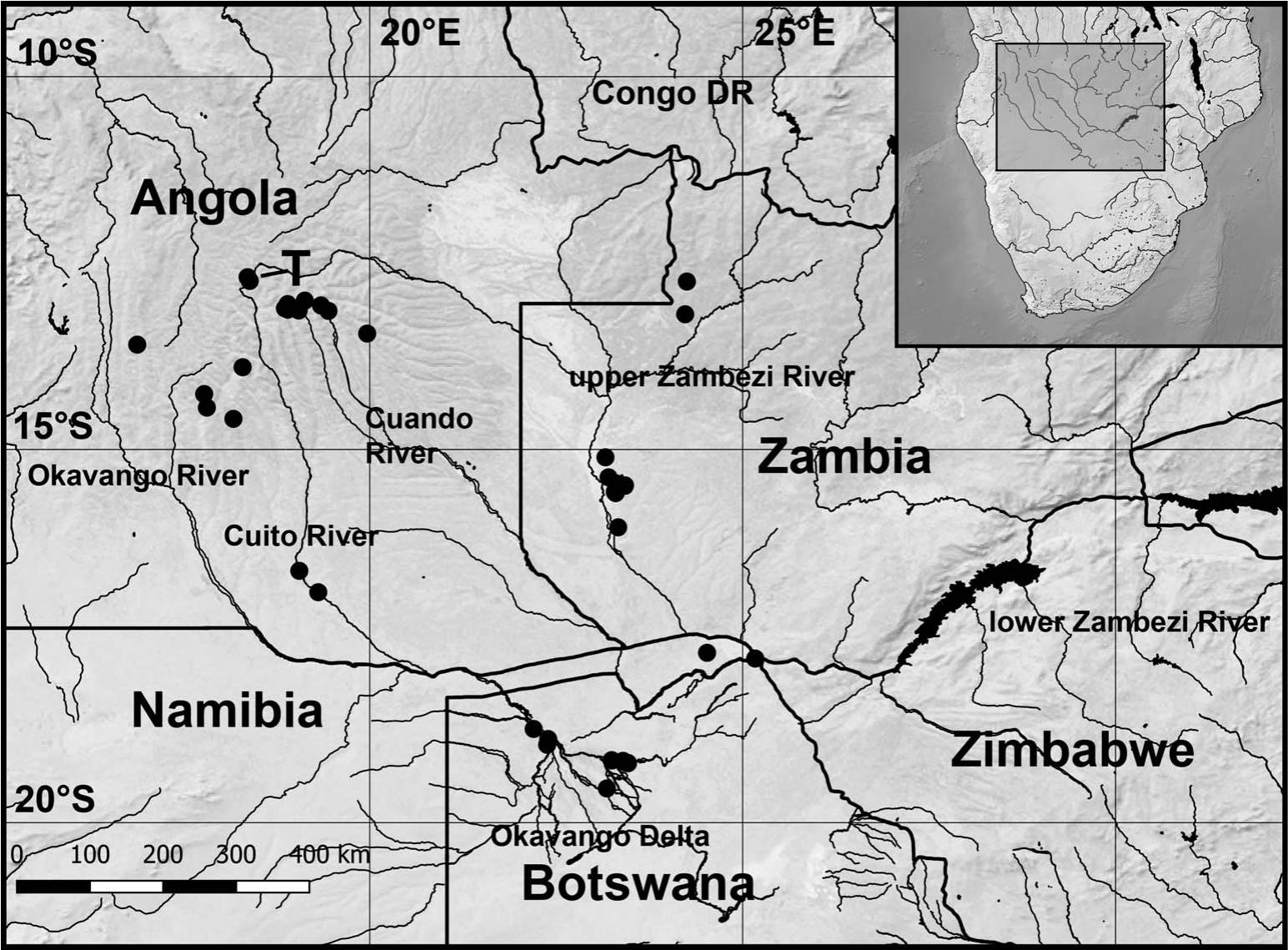 Revalidation and Redescription of “Lacustricola” chobensis (Fowler ...