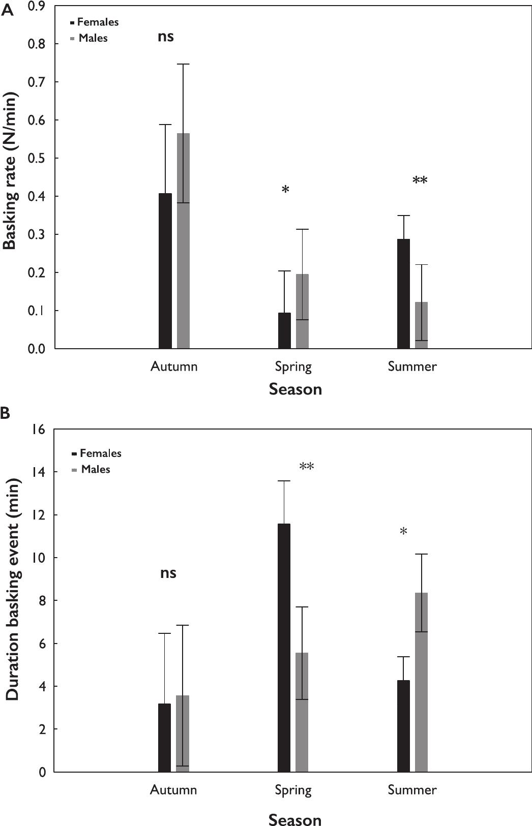Baskingate Table Field Thermoregulatory Behavior in the African Spiny-Tailed Lizard ...
