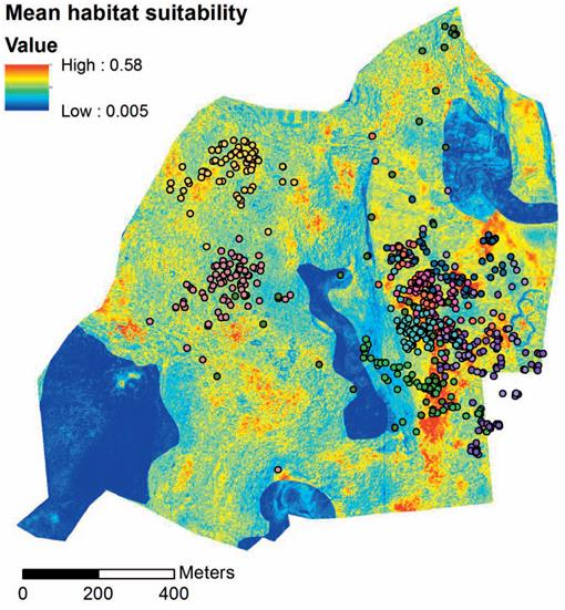 Macrohabitat characteristics of stream sites by season. Mean