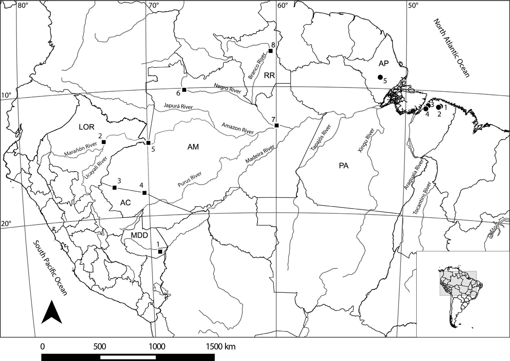 On The Uncertain Taxonomic Identity Of Adenomera Hylaedactyla