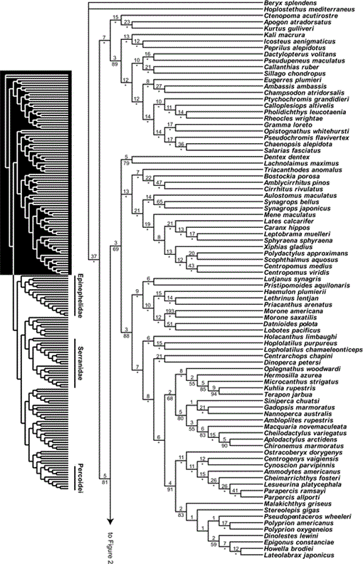 i0045-8511-2007-1-35-f01.gif