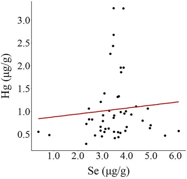 Mercury and Selenium Concentrations in Phalaropes on Great Salt Lake ...